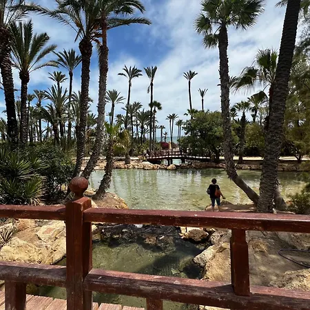 Delicias Loft Аликанте